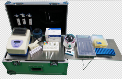 喜報(bào) | 上海快靈推出多重專利基因試紙卡，引領(lǐng)精準(zhǔn)檢測(cè)新篇章