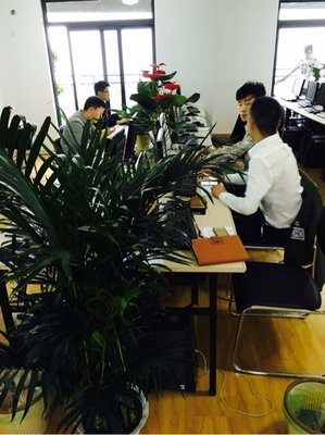 武漢金誠(chéng)匯譽(yù)商務(wù)信息咨詢 專業(yè)賦能企業(yè)決策與成長(zhǎng)